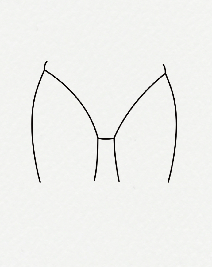 Inner Thigh Wax