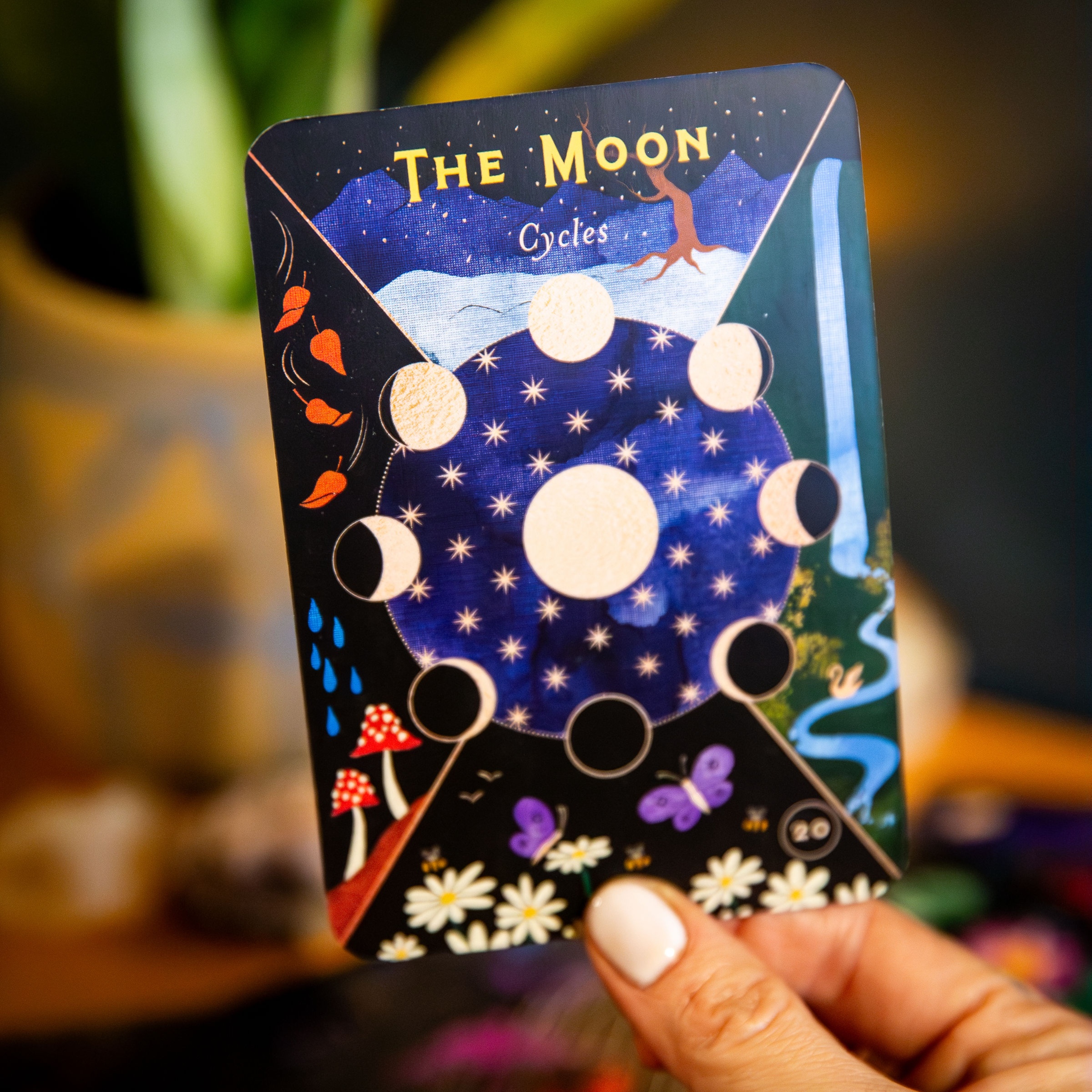 Intuitive Tarot Reading at Mariposa Collective in Essex Junction, VT