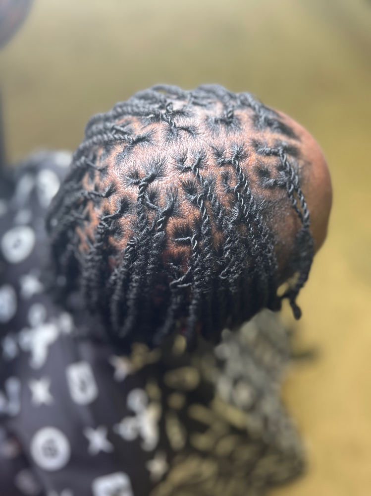 Wash Re-Twist 2 Stand Twist