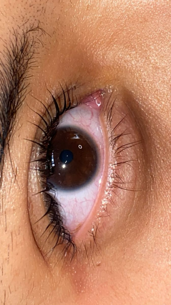 Lash Lifting & Tint