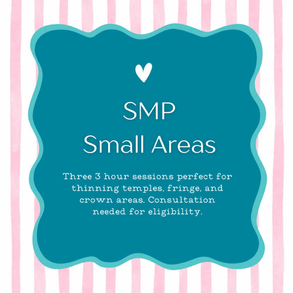 SMP Small Areas Session