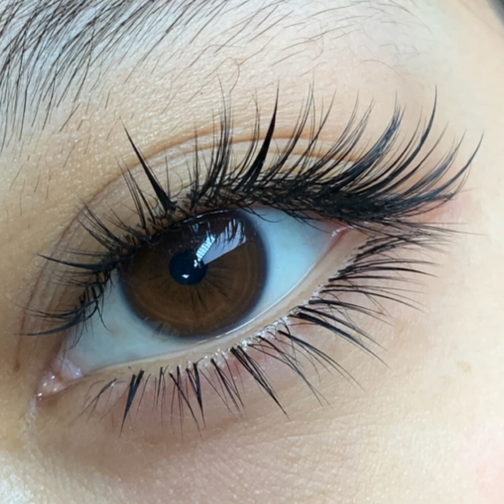 Lower Lashes at Lux Lash and Brow in Mansfield, TX