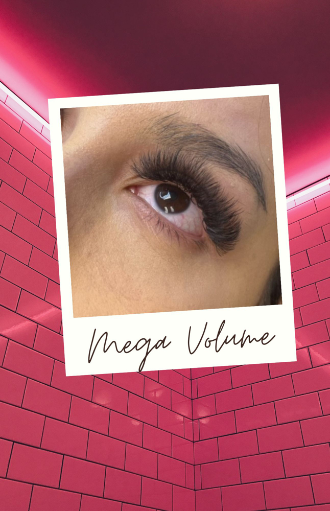 Volume Lash Fill (2Weeks)