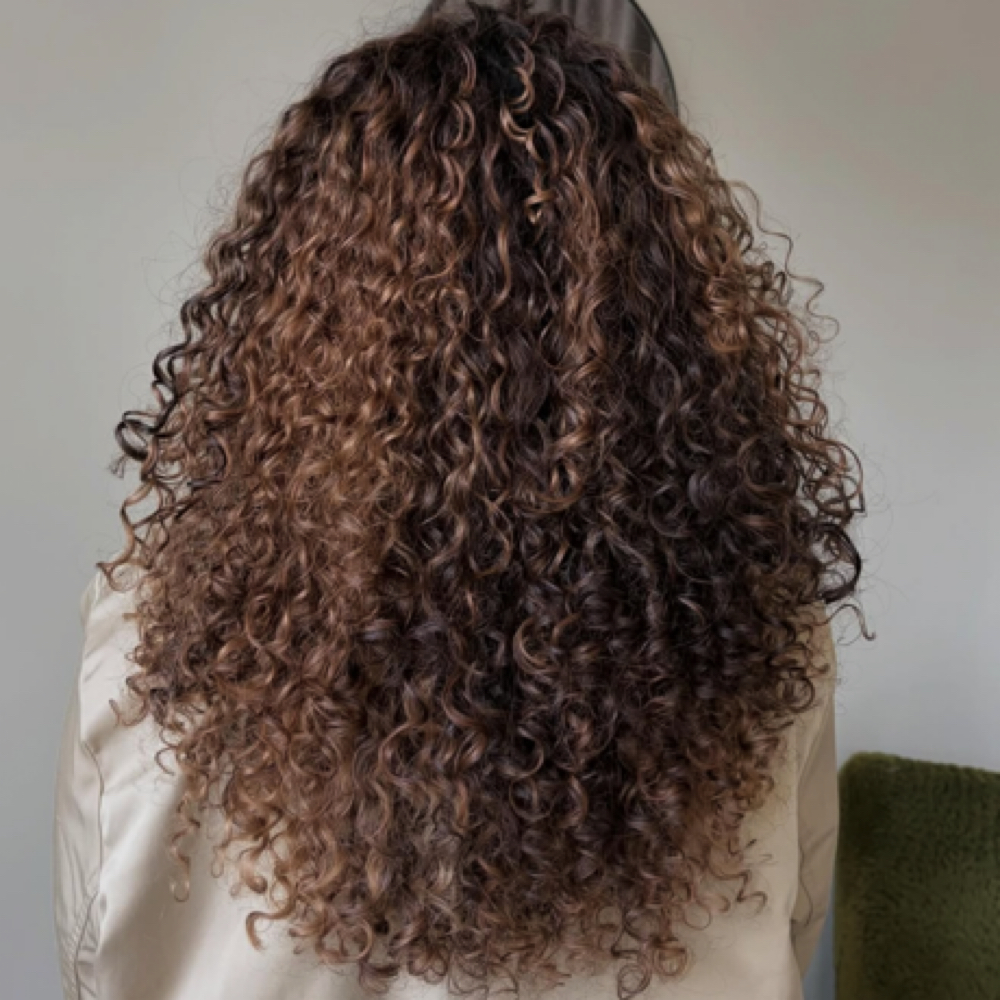 Curly Cut (on natural hair) at Haus Of Kartel in Rochester, NY