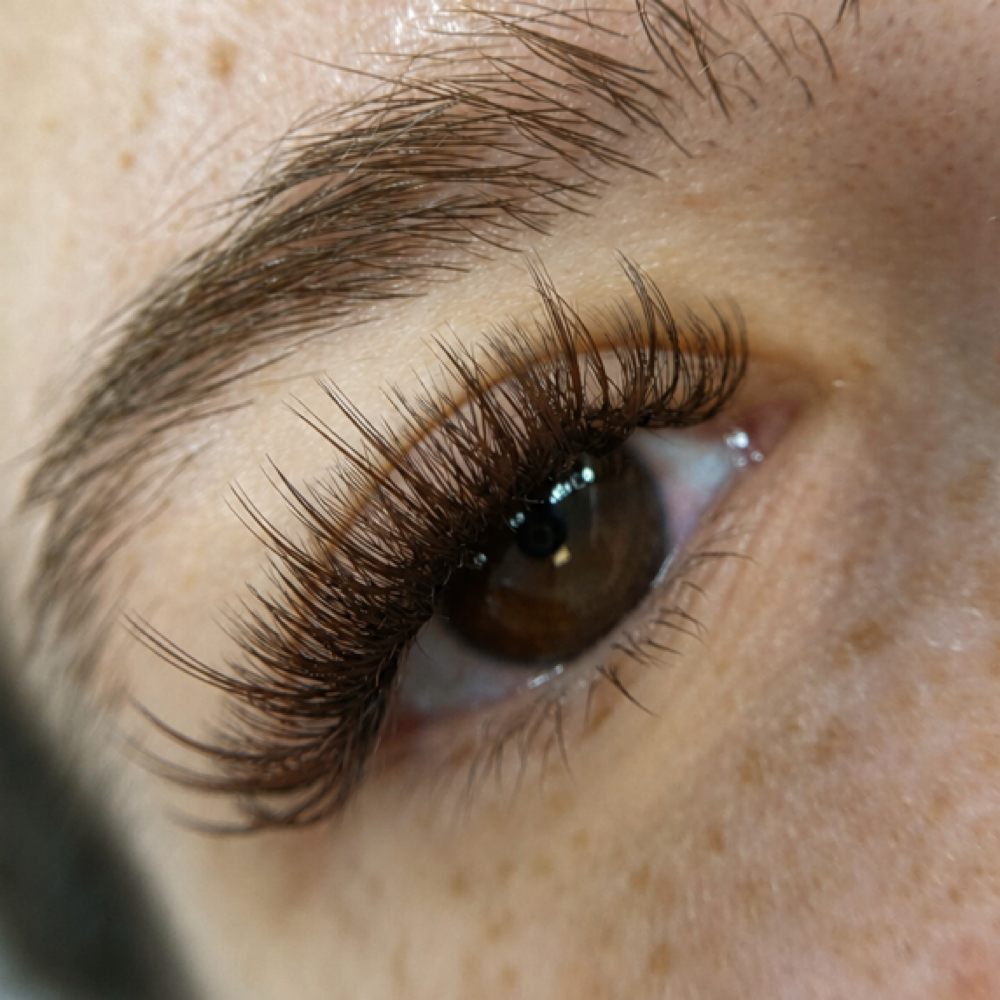 Brown Upgrade at LASHD By Dea in Massachusetts, MA