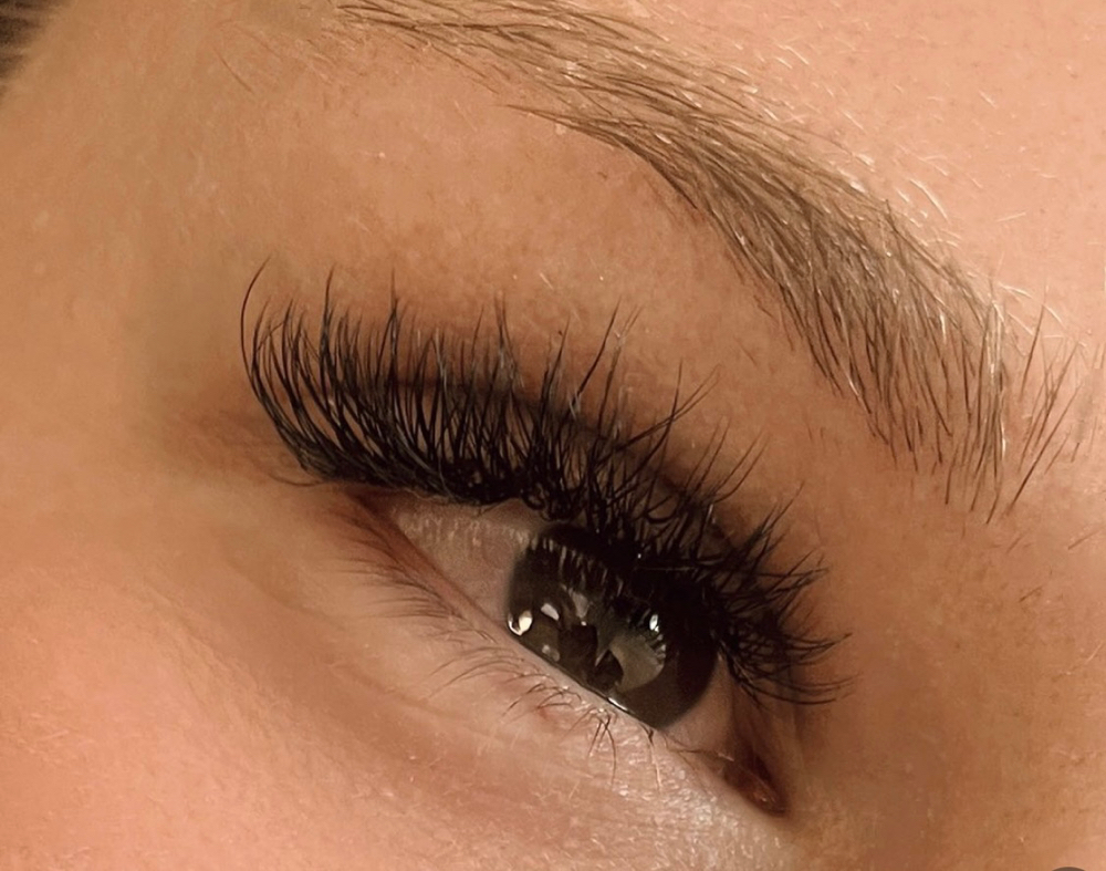 Classic 2-3 Week Fill