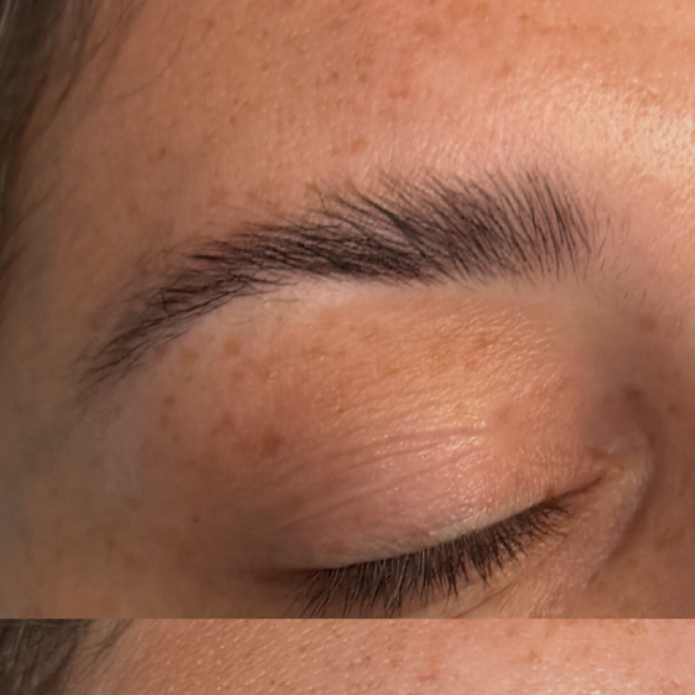 Signature Brow Combo at Laura Elizabxth Artistry in Columbus, OH