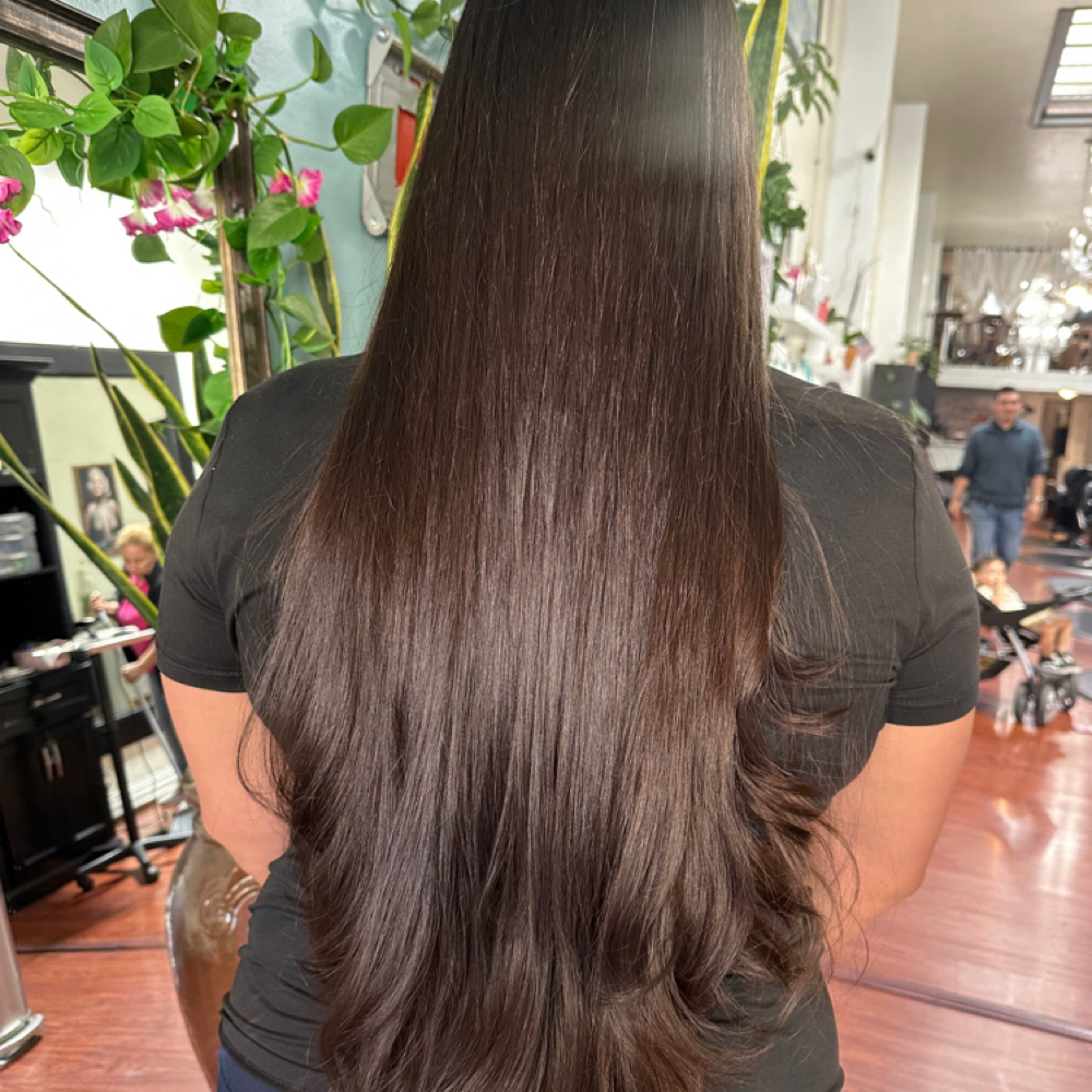 Solid Color at Hair studio 212 in Salinas, CA