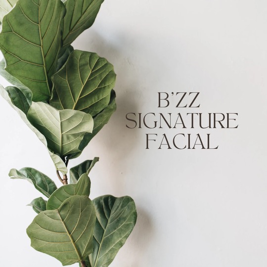 B’zz Signature Glass Skin Facial