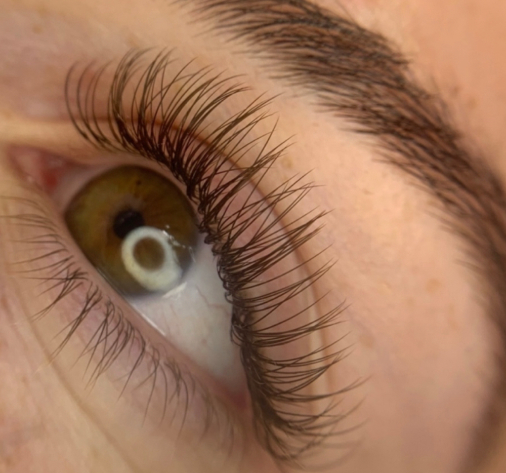 Classic Brown Lash Extention Set
