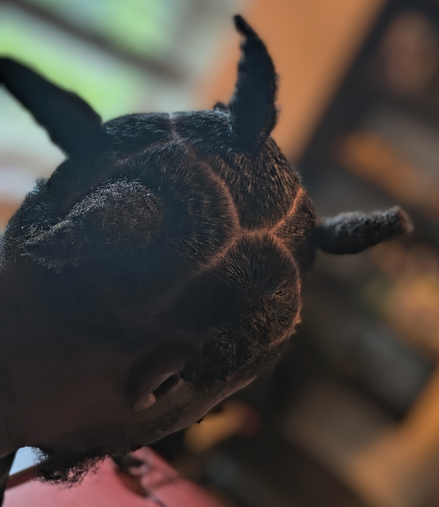 WICKS & INSTANT Locs at The Loc Suite in Mechanicsville, VA