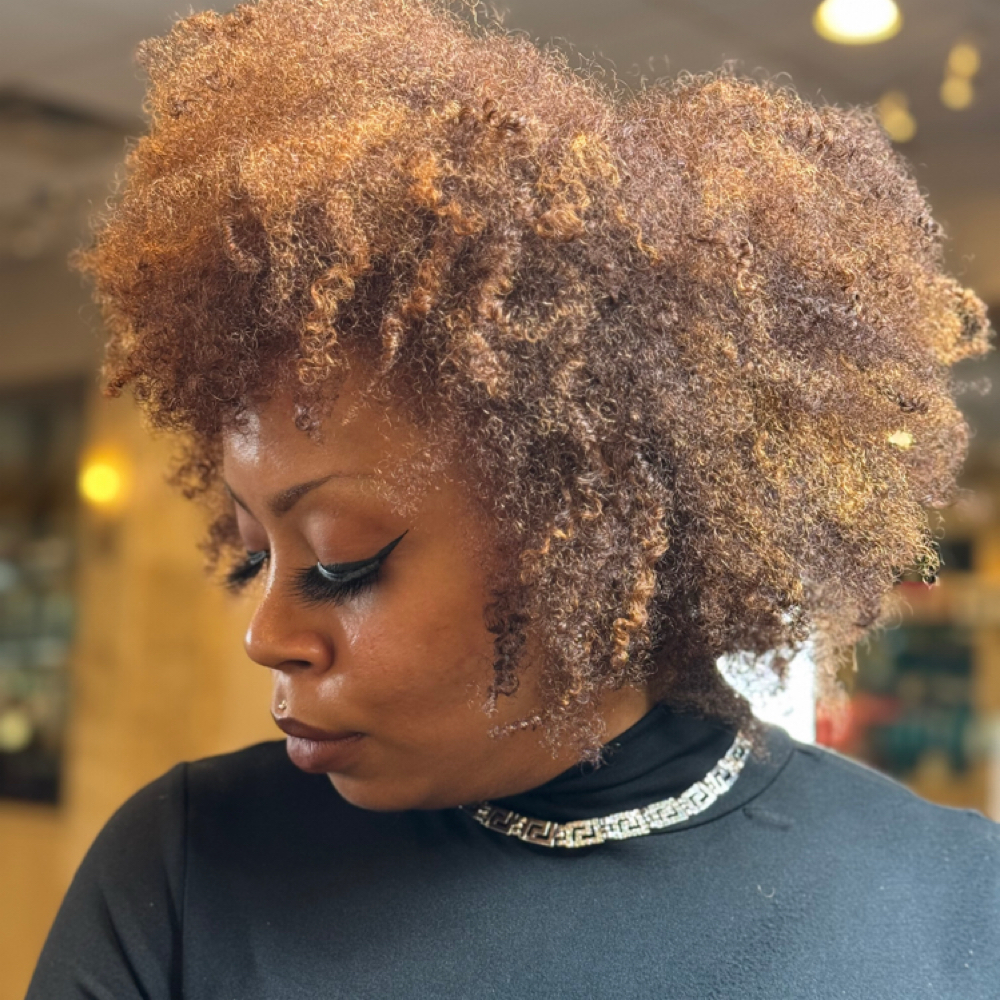 CUSTOMCURLYCUT(Educator Stylist) at Texture House Salon in Spring, TX