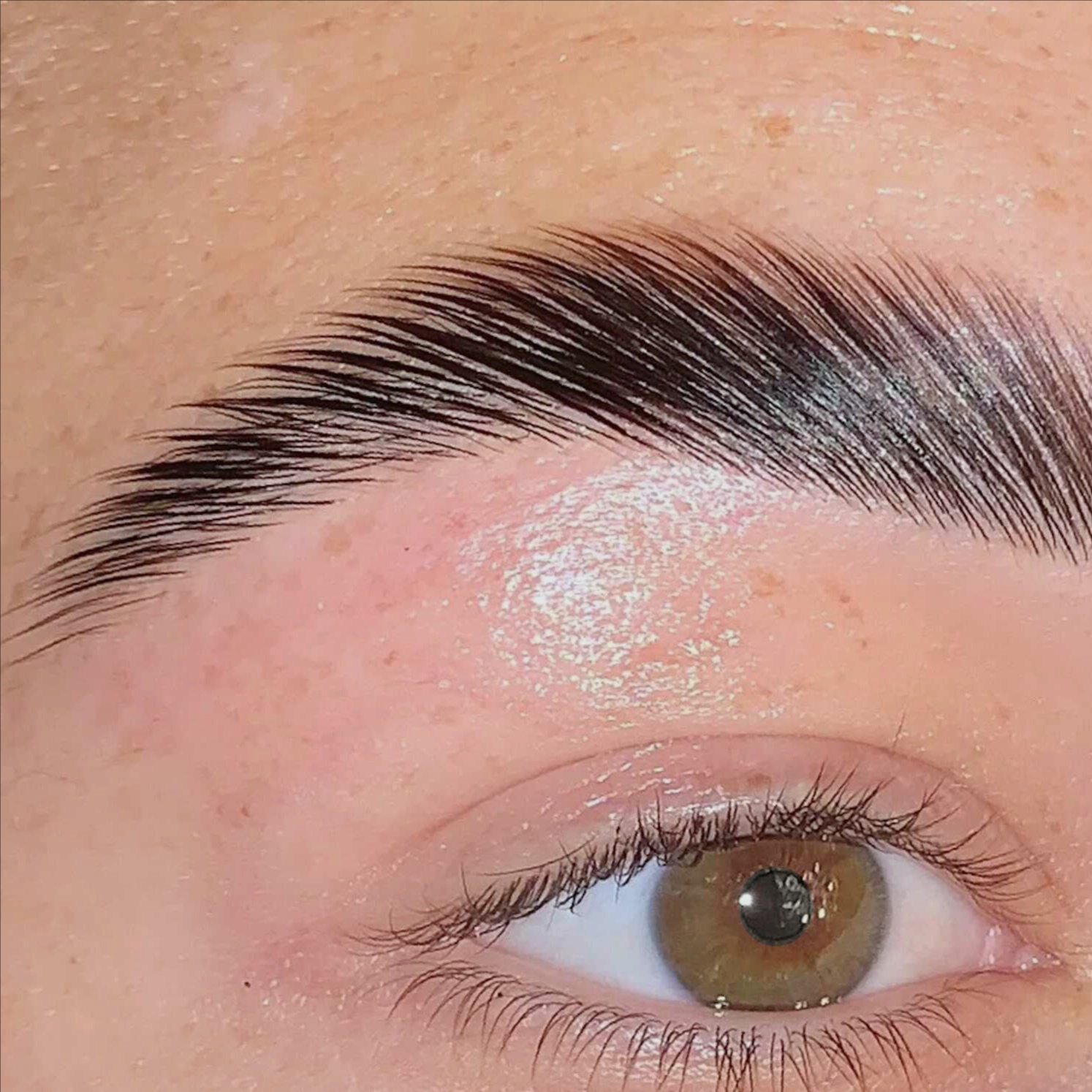 Eyebrow lamination at Brows, Lashes, Etc. in Lake Stevens, WA