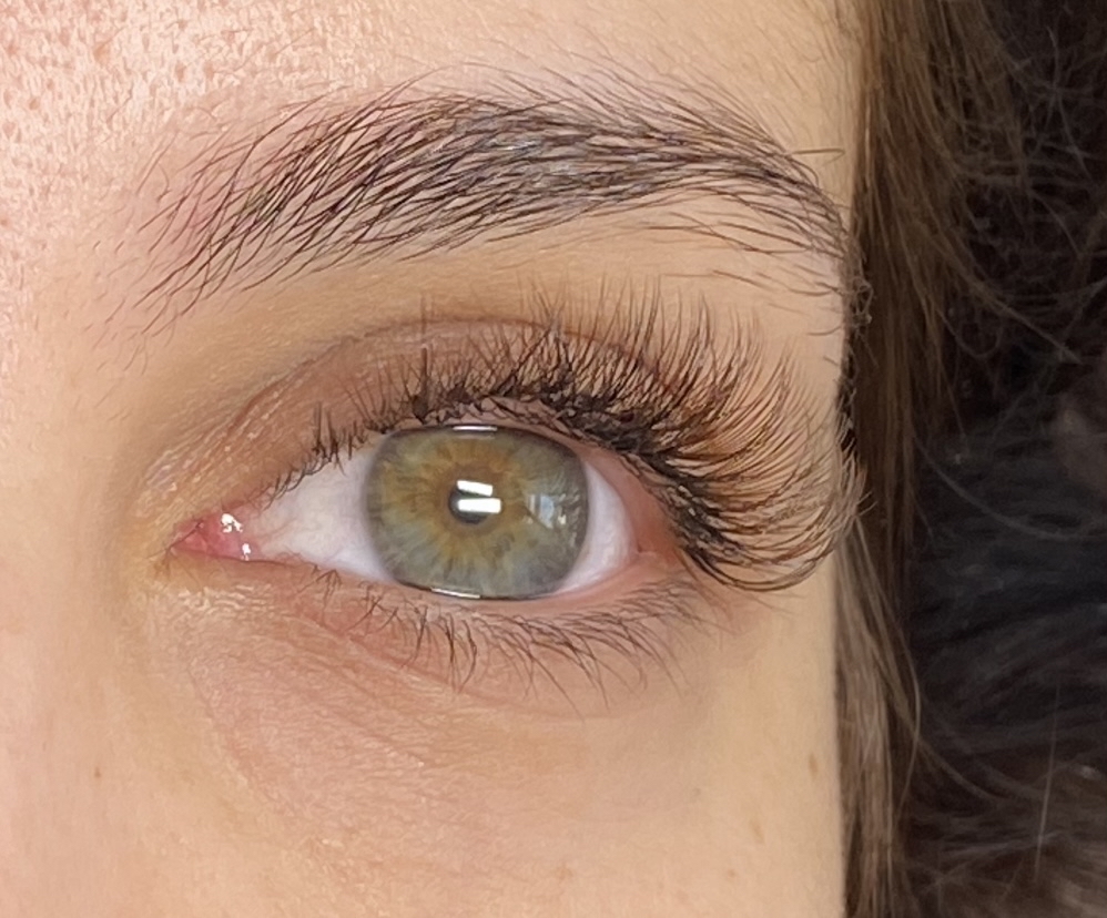 Brown Hybrid Set