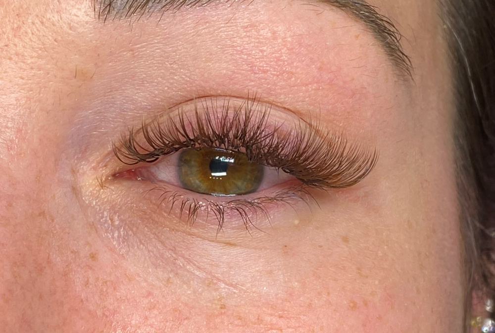 Brown Hybrid Set