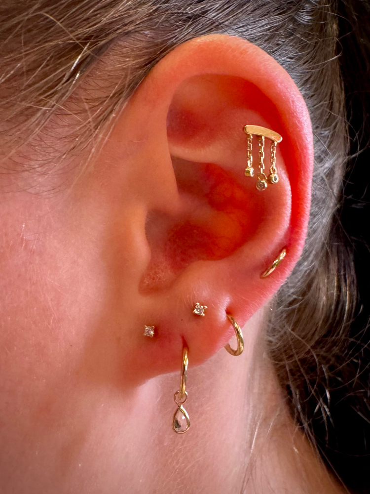 Ear Curation