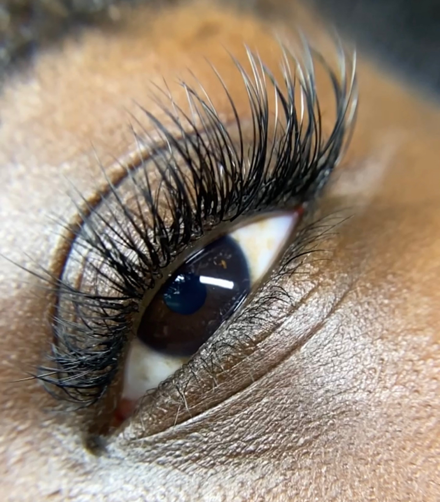 New Client Classic Lash Set
