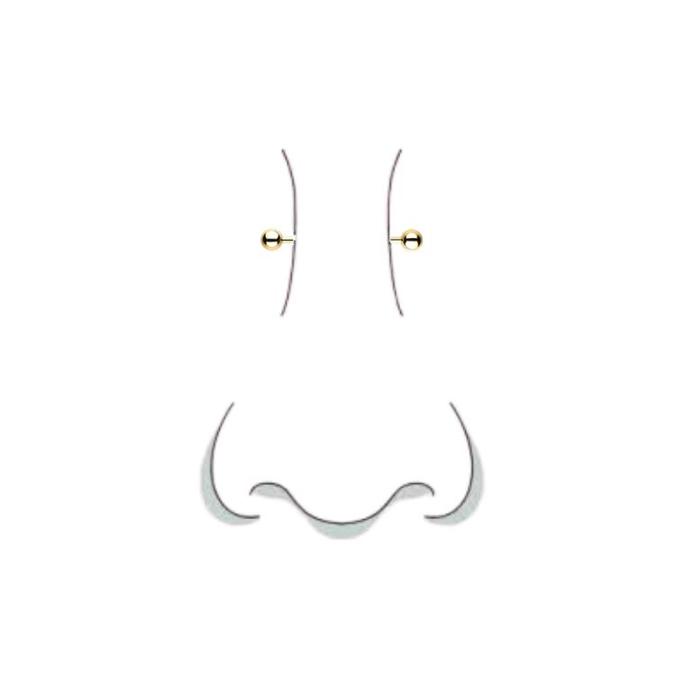 Bridge (Jewelry Included)