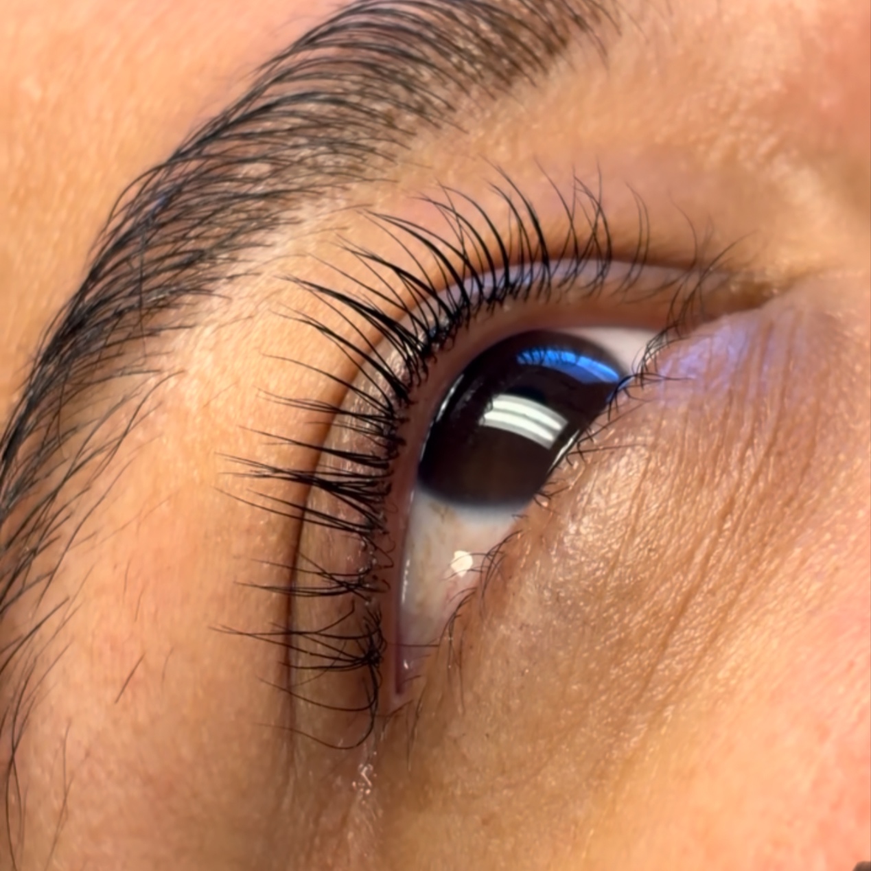 Korean Lash Lift And Tint at Karla Styles Beauty Bar in Houston, TX