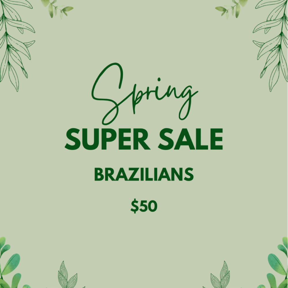 Spring Brazilian Promo at Fox Box by Melissa Ortiz in Modesto, CA