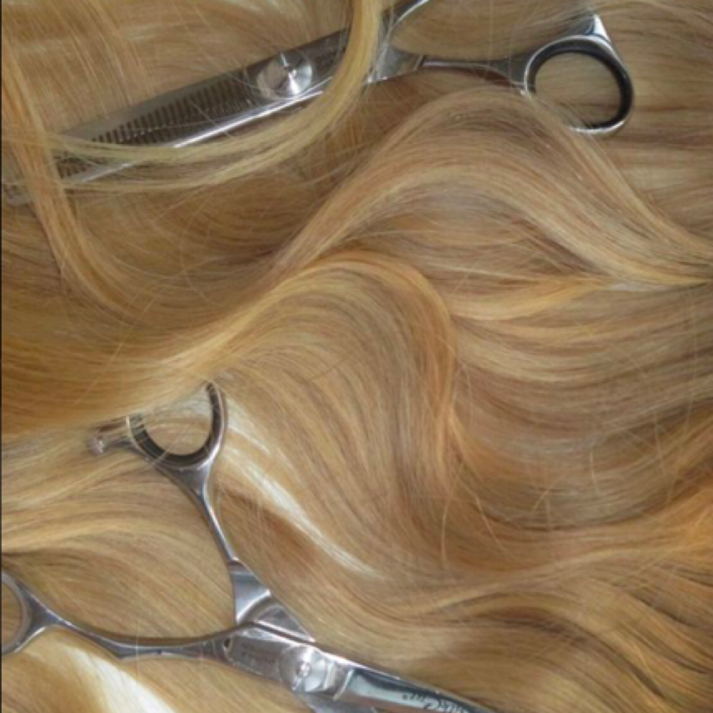 Women’s Haircut at livinwildstyles in tarpon springs, FL