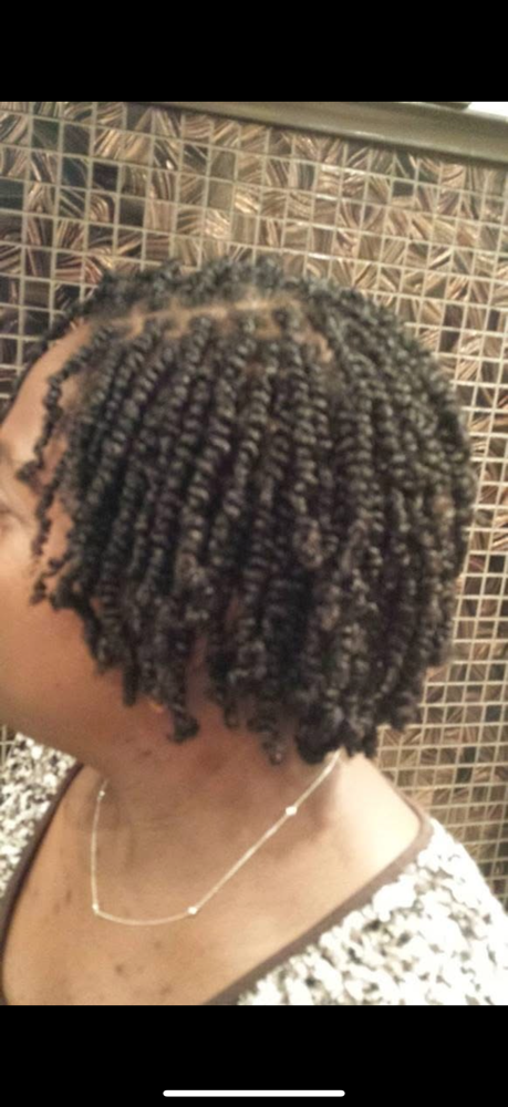 Mini  Twist ( No Extention)