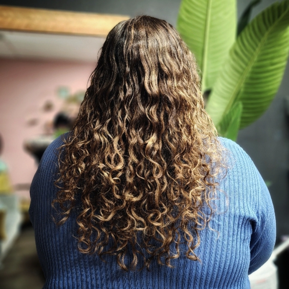Weft Extensions at PaintedCurly in Salem, OR