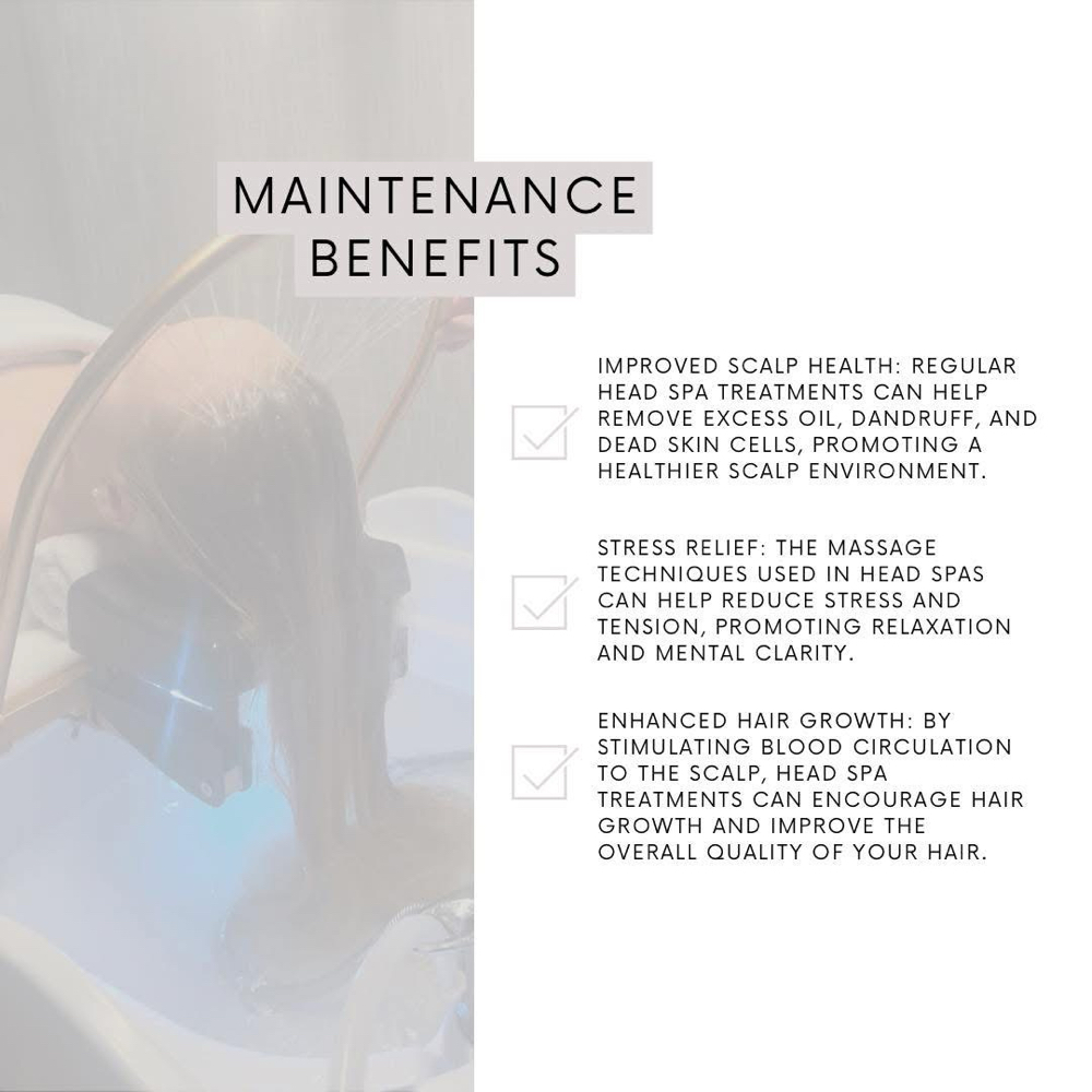 Scalp Head Spa  *Detox Maintaince*