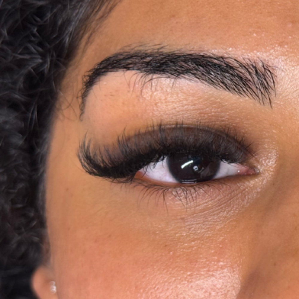 Light Volume Lash Extensions at beautybyhavenn in Jackson, MI