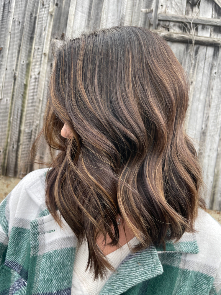 Balayage (above shoulders/thin)