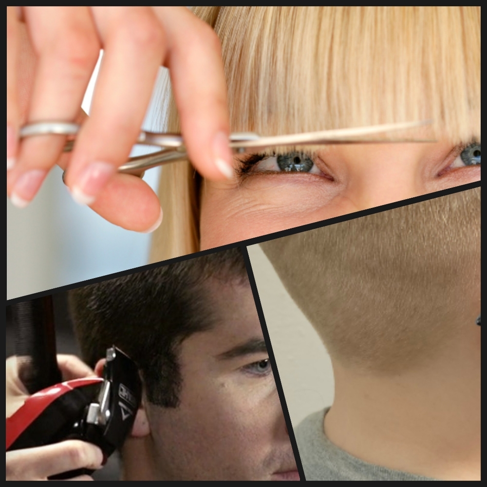 Quick Clean-ups at Lyons Mane Salon in Livingston, MT