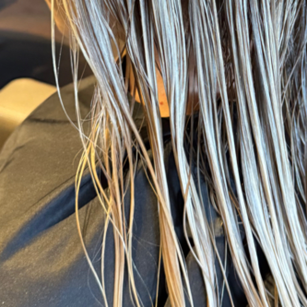 Bang Trim at Modish Salon in Duluth, MN