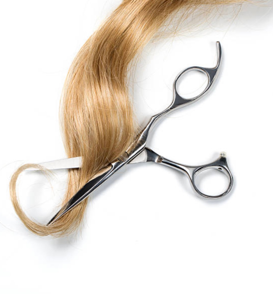 Haircut / Wash / style ( Blow Out )