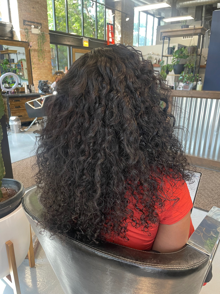 “Add On” Clip In Extentions Install