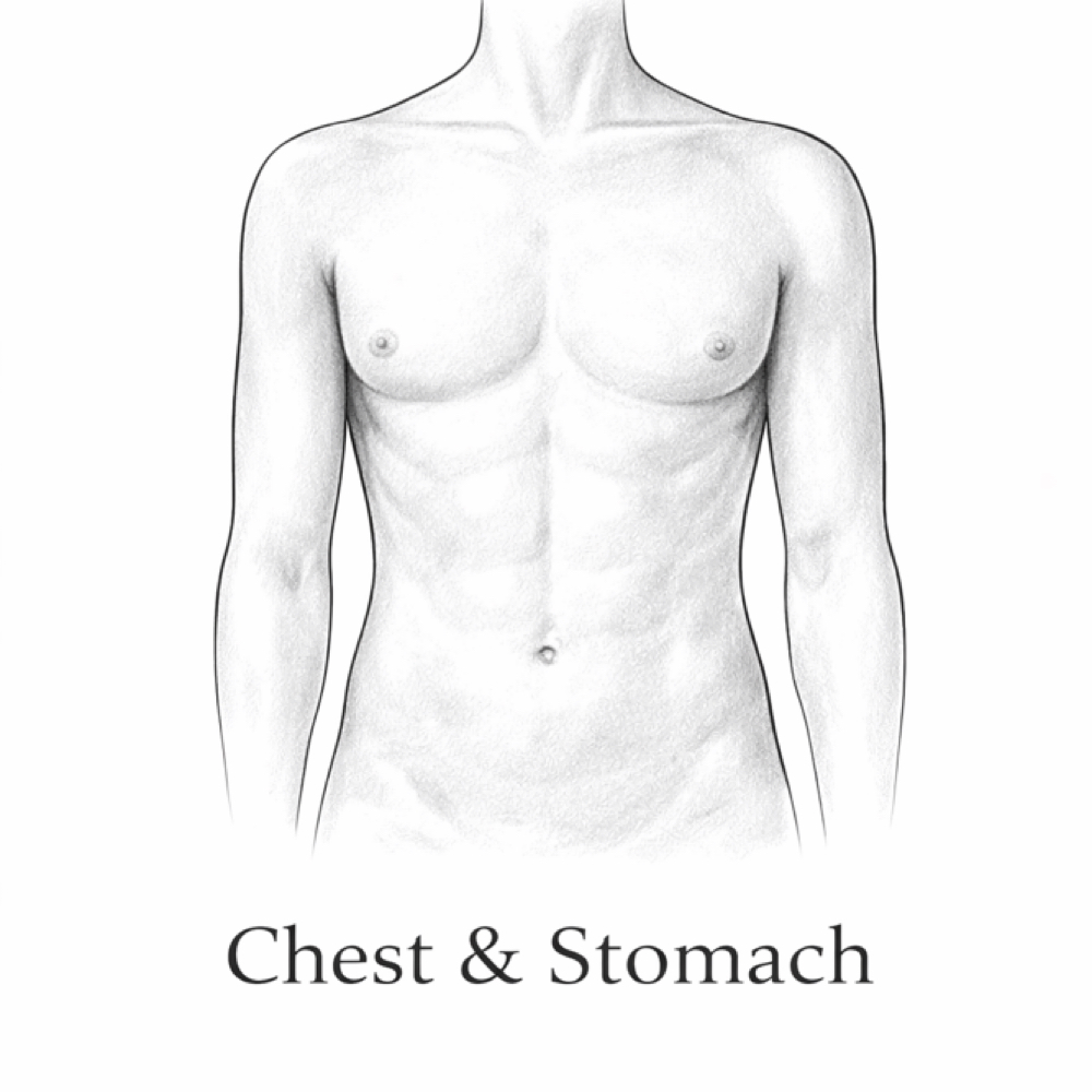 Full Chest and Stomach at Waterbaby Wax Co. in Canyon Lake, CA