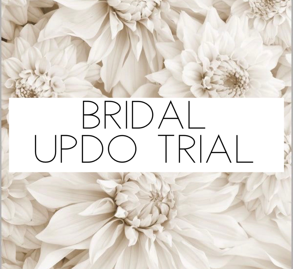 Bridal Updo Trial