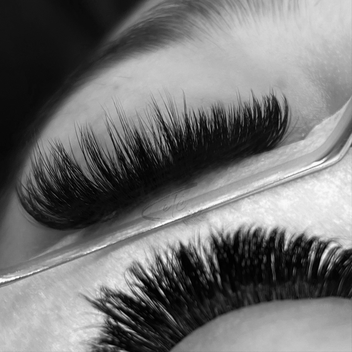 Mega Volume Fill at lashes, etc. beauty bar in Dallas, TX