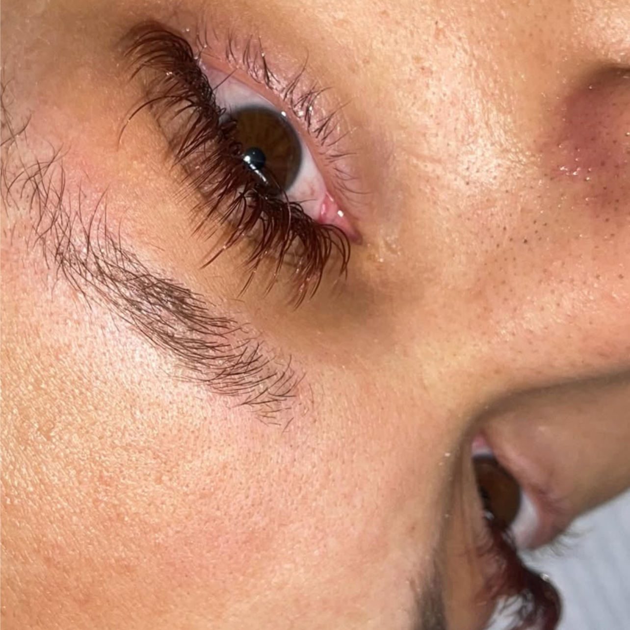 Wet Fill at Lotus Lashes & Brows in Cleveland Heights, OH