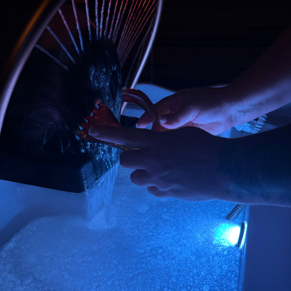 30 Minute Zensational Head Spa at Zen in Hayesville, NC