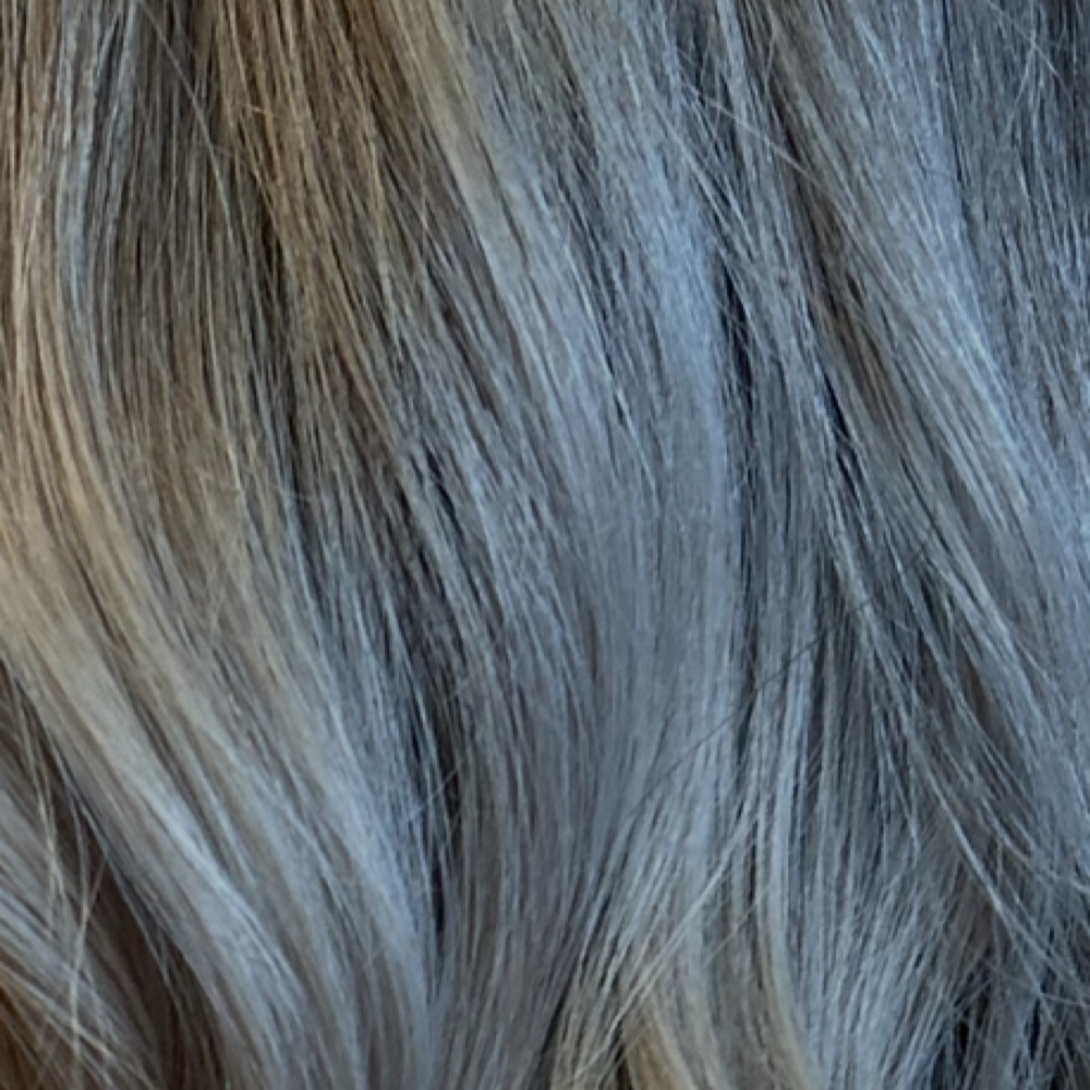 Root Color / Grey Coverage w/ Gloss at colormejade in Fort Collins, CO