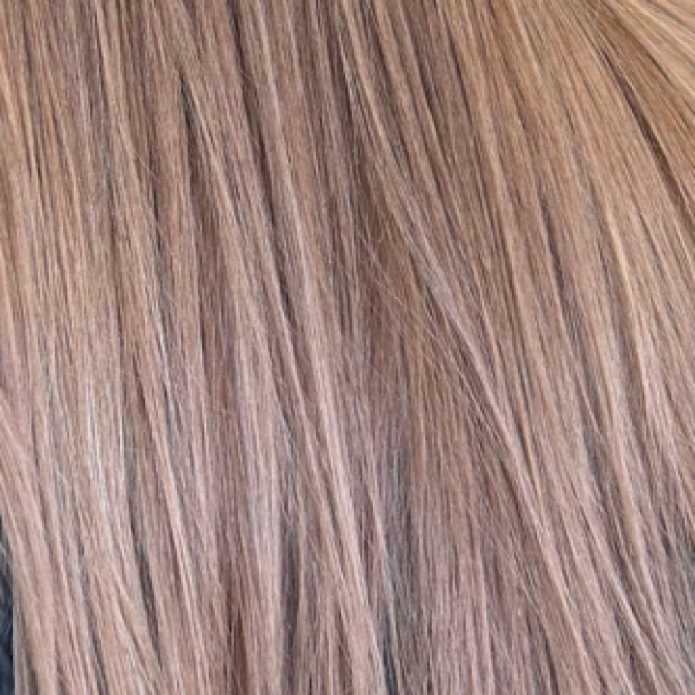 Root Color / Grey Coverage w/ Gloss at colormejade in Fort Collins, CO