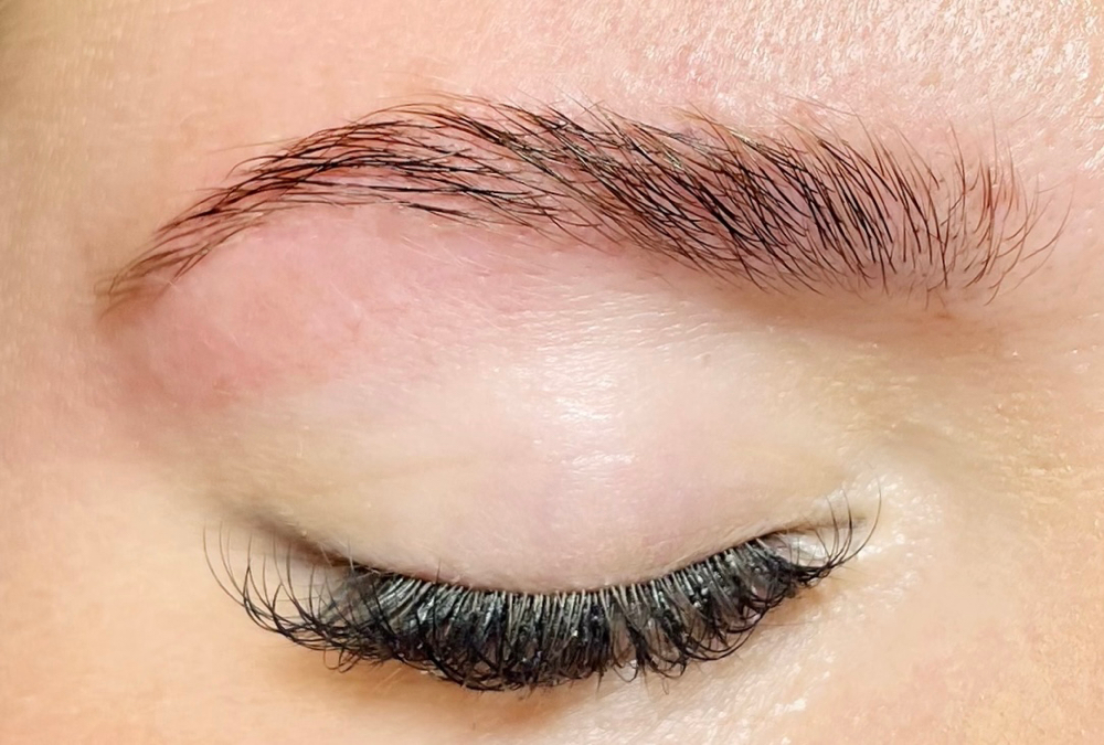 Brow Wax at Lashes By LuLu in Summerville, SC