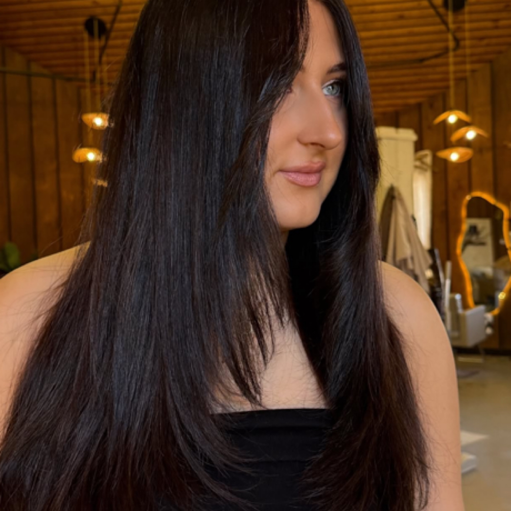 Single Color Mane (Global Color) at The Mane Haven in Columbus, MS