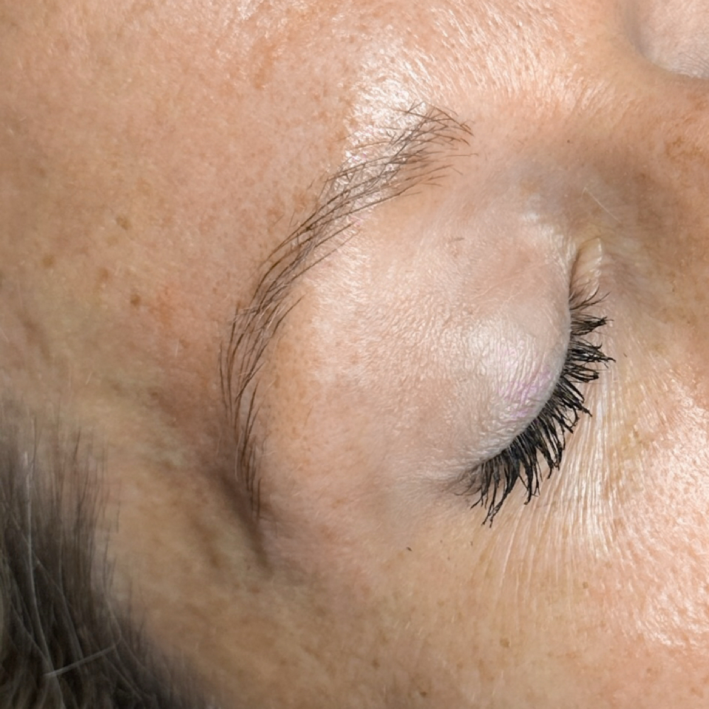 Nano Brows 6-8 Week Touch Up at Earthbound Brow Co. in Marietta, GA