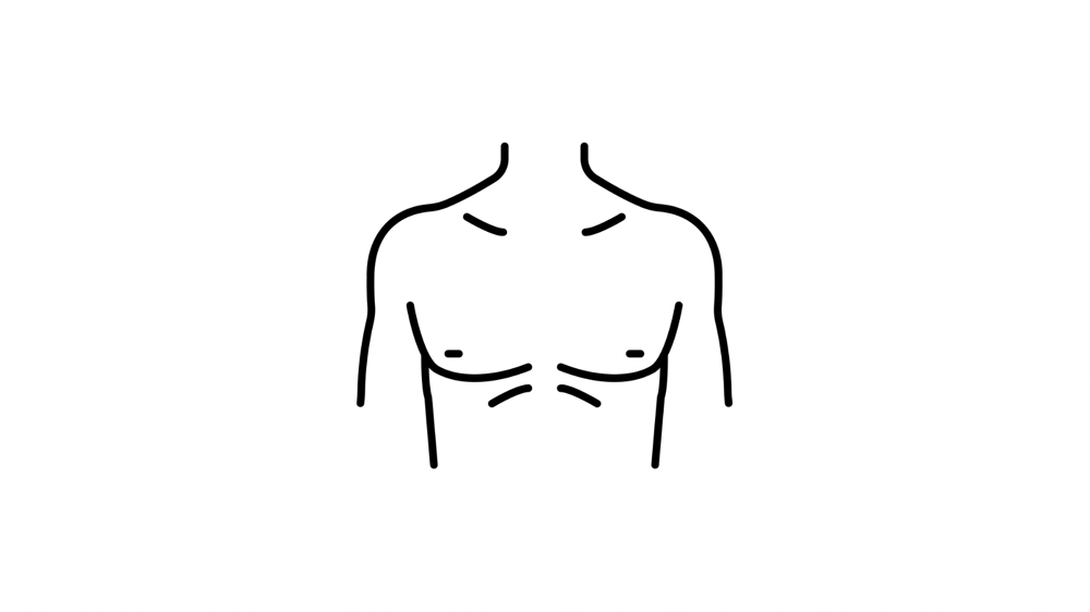 Chest