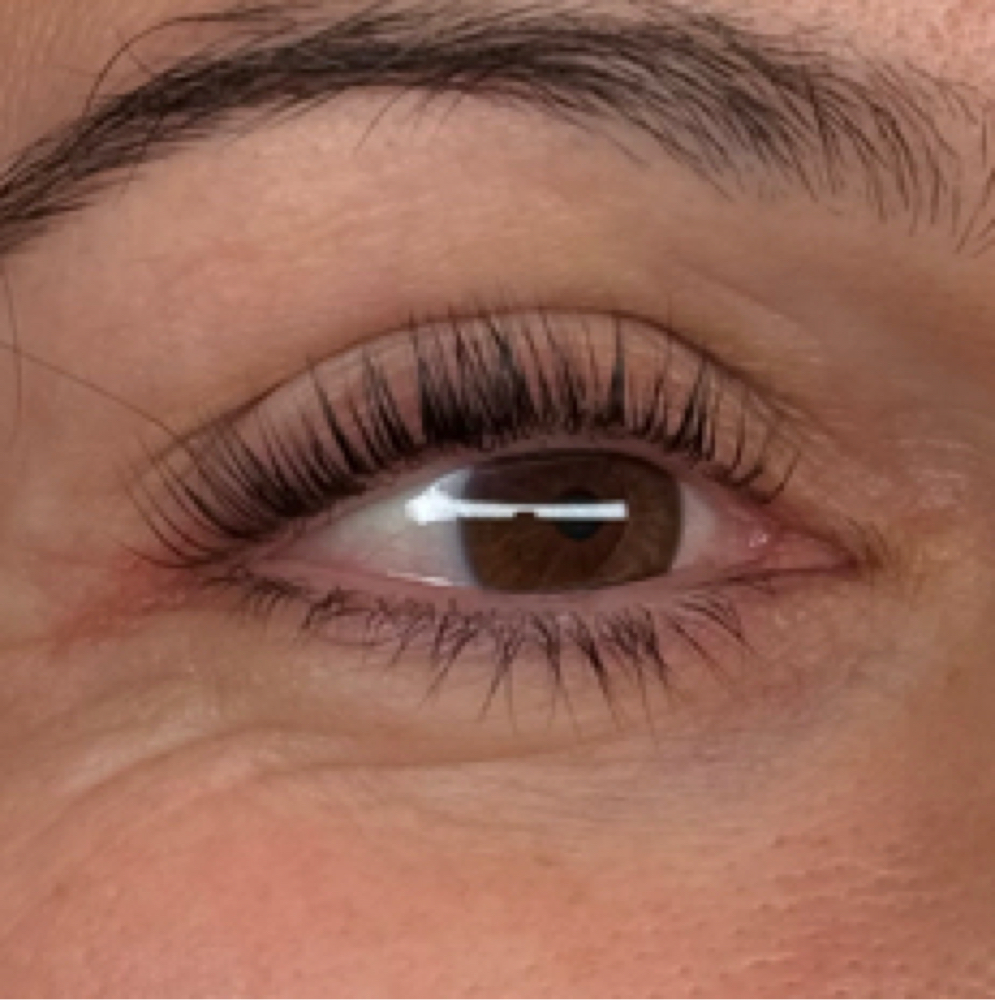 Korean Lash Lift (Model Service) at Pinklashed in Sugar Land, TX