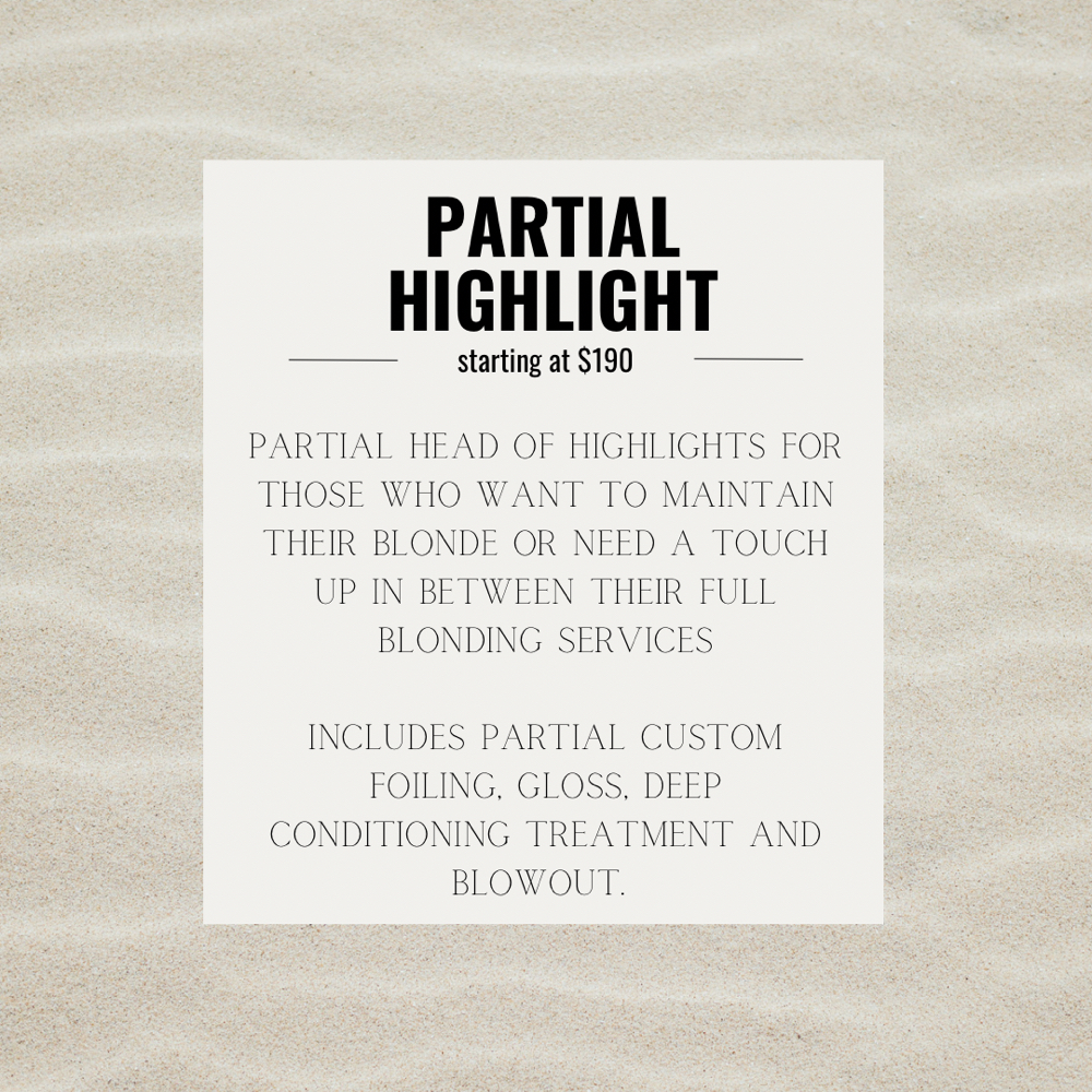Partial Highlight at Newave Hair Lounge in Florida, FL