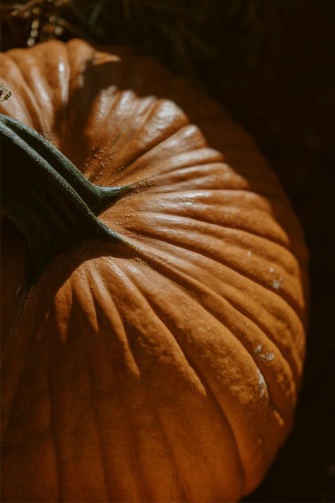 Pumpkin Glow Facial
