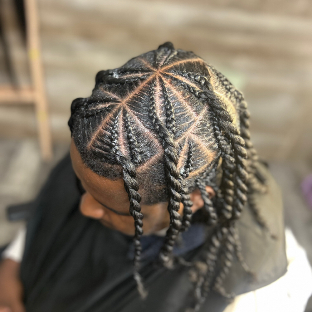 Braided 2 Strand Twist at HairSymphony in Knoxville, TN