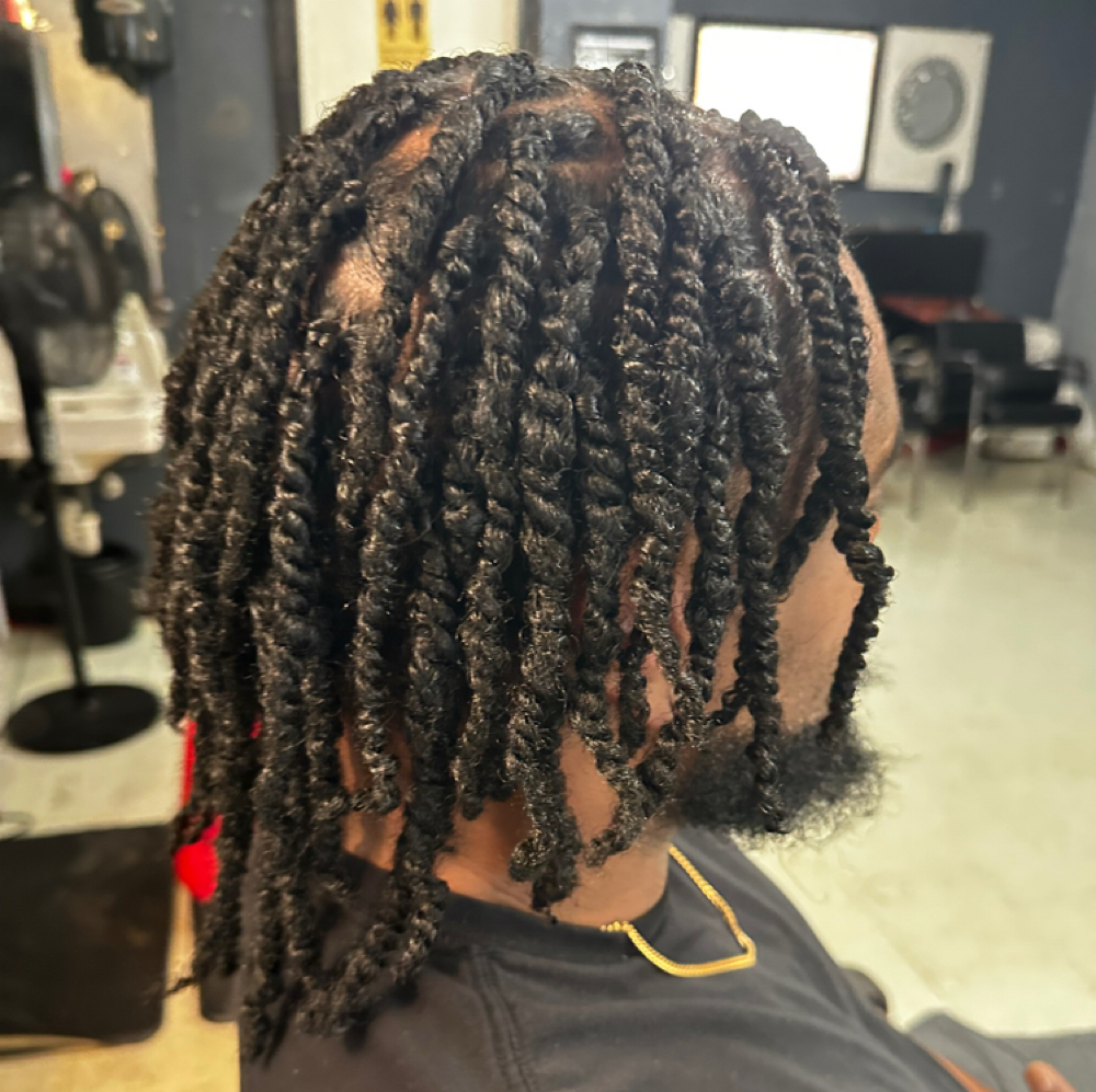 Two-Strand Twist Added Hair at Renees Beauty Salon in Texas City, TX